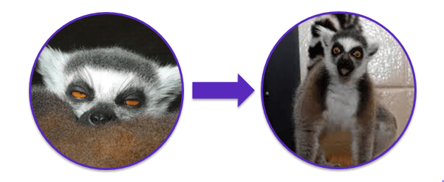 Механизм и применение.PNG